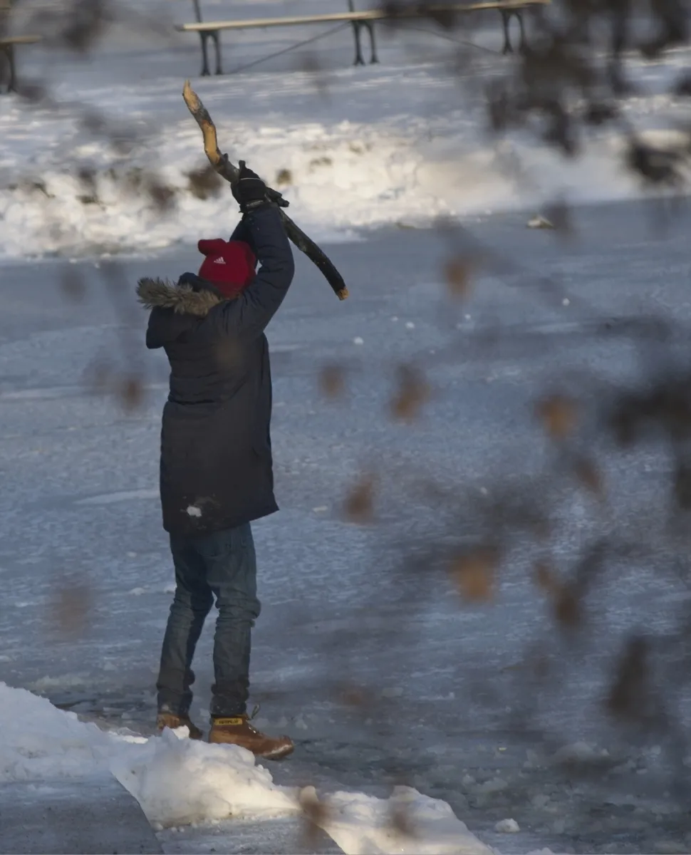 Person in a red knit hat raising a large branch above frozen water